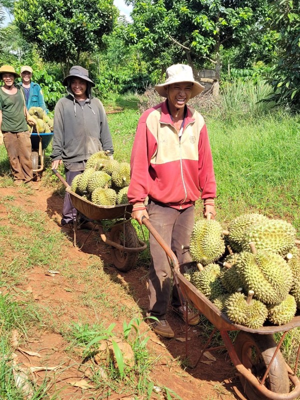 Giải pháp BVI 01